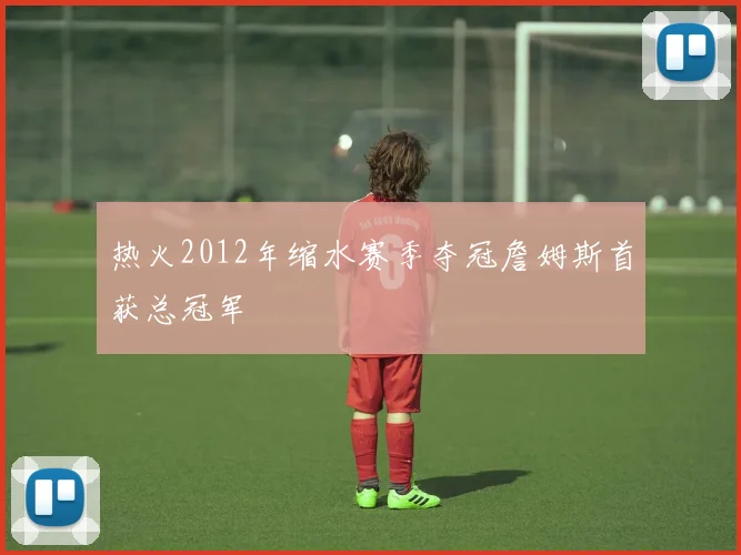 热火2012年缩水赛季夺冠詹姆斯首获总冠军